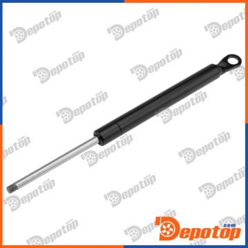 Verin, vitre arriere 289MM, 250N pour CITROEN | AE-CT-008, 8235LY